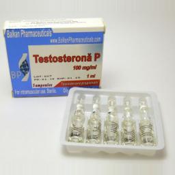 Best Testosterona P from Legal Supplier