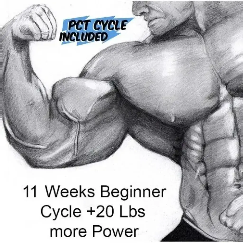 11 Weeks Beginner Cycle 11 Weeks Beginner Cycle
