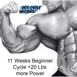 11 Weeks Beginner Cycle