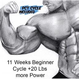 11 Weeks Beginner Cycle