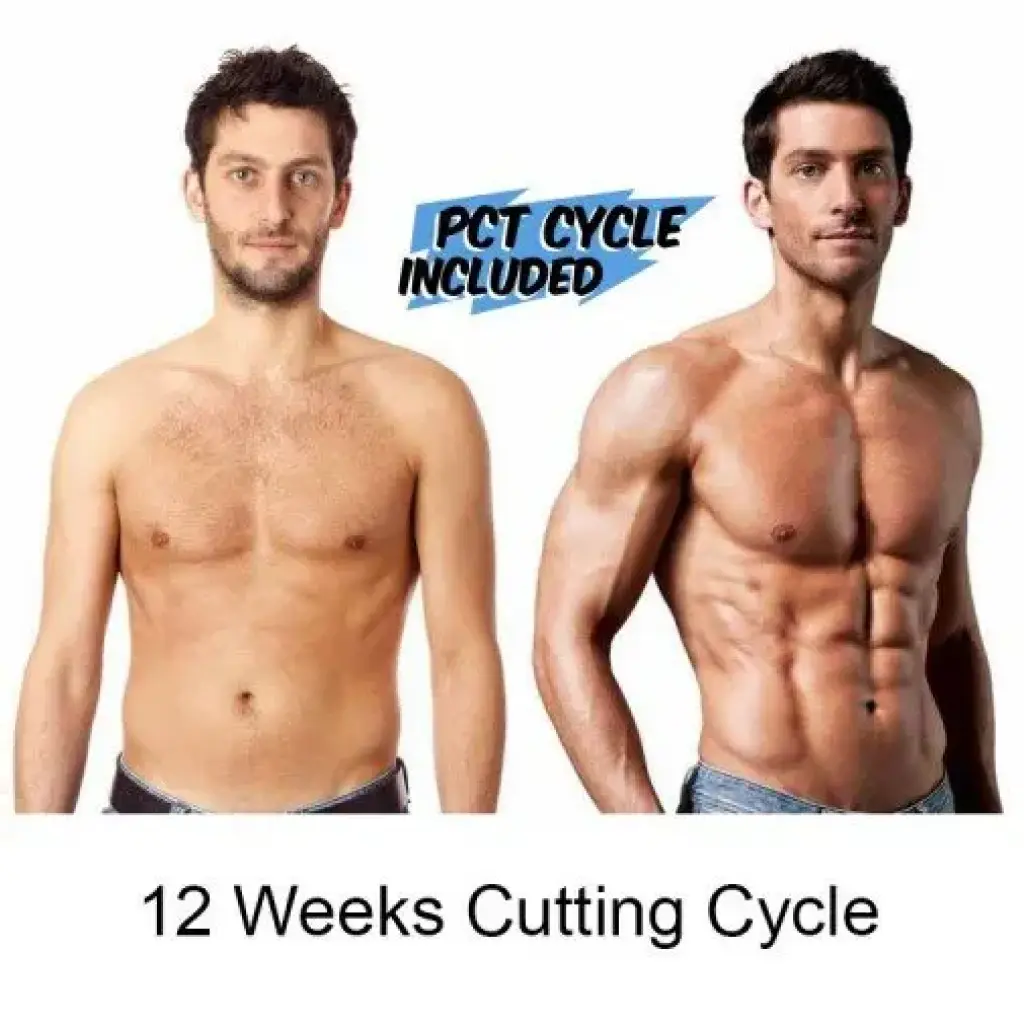 12 Weeks Cutting Cycle 12 Weeks Cutting Cycle