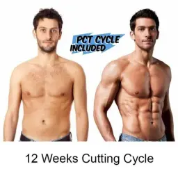 12 Weeks Cutting Cycle