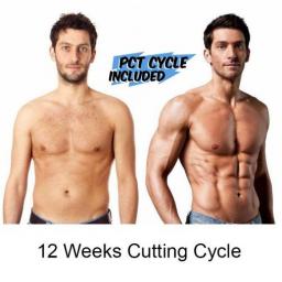 12 Weeks Cutting Cycle