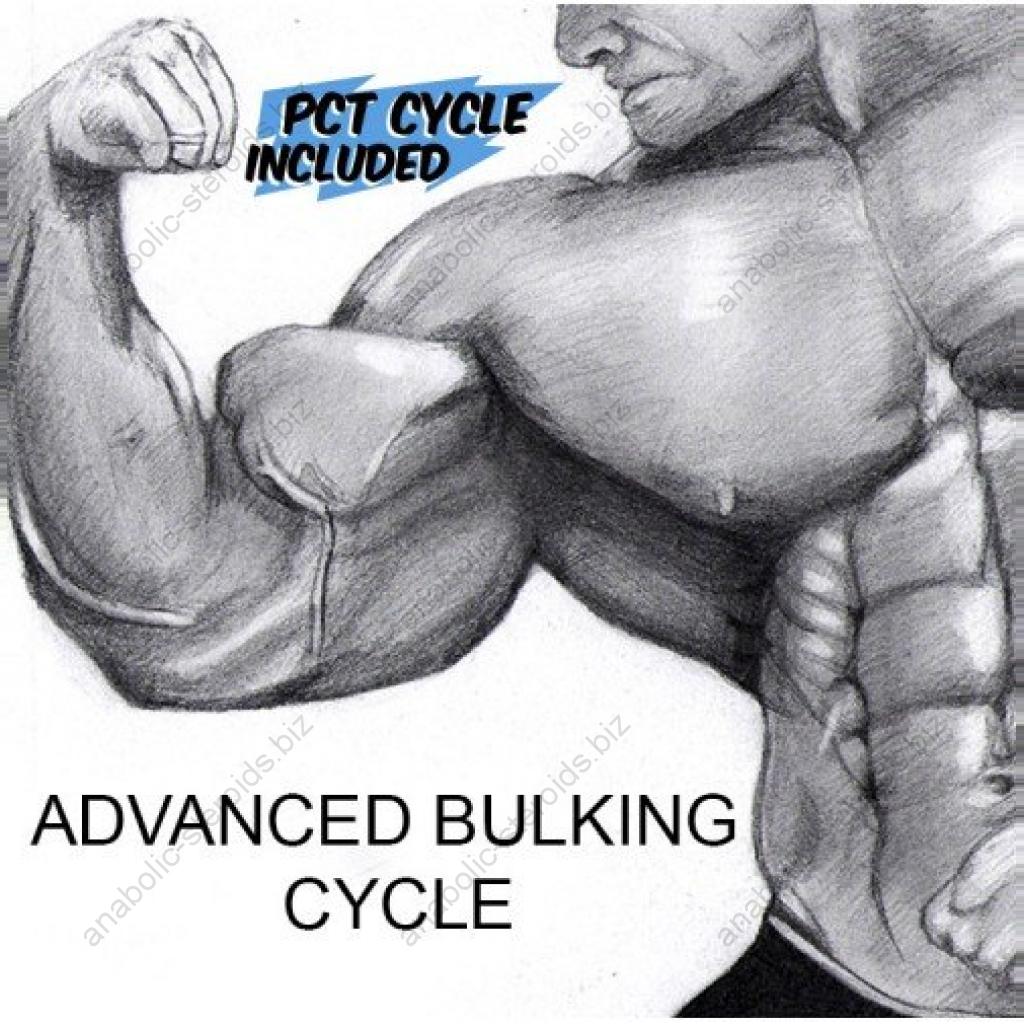Order Advanced Bulking Cycle Online