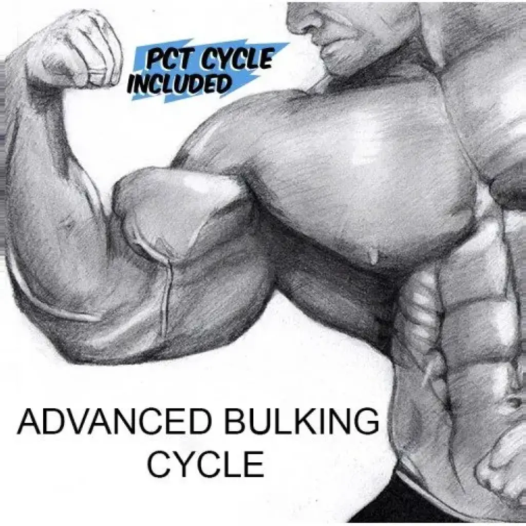 Advanced Bulking Cycle Advanced Bulking Cycle