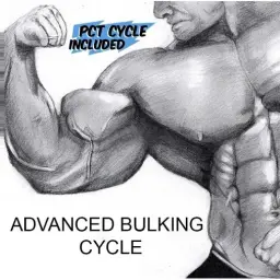 Advanced Bulking Cycle
