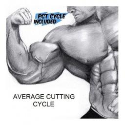 Order Average Cutting Cycle Online