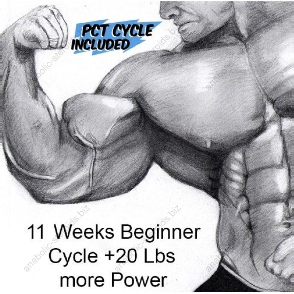 Order 11 Weeks Beginner Cycle Online