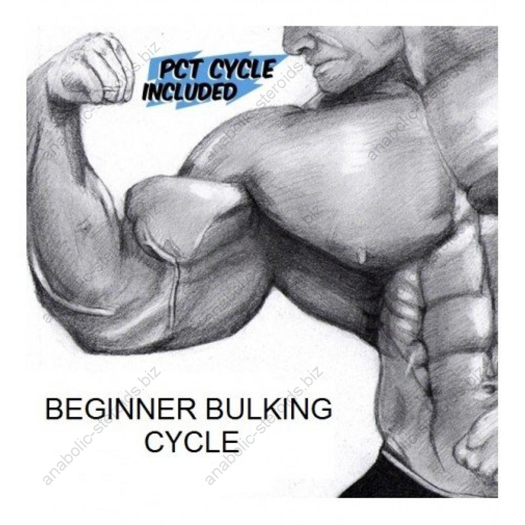 Order Beginner Bulking Cycle Online
