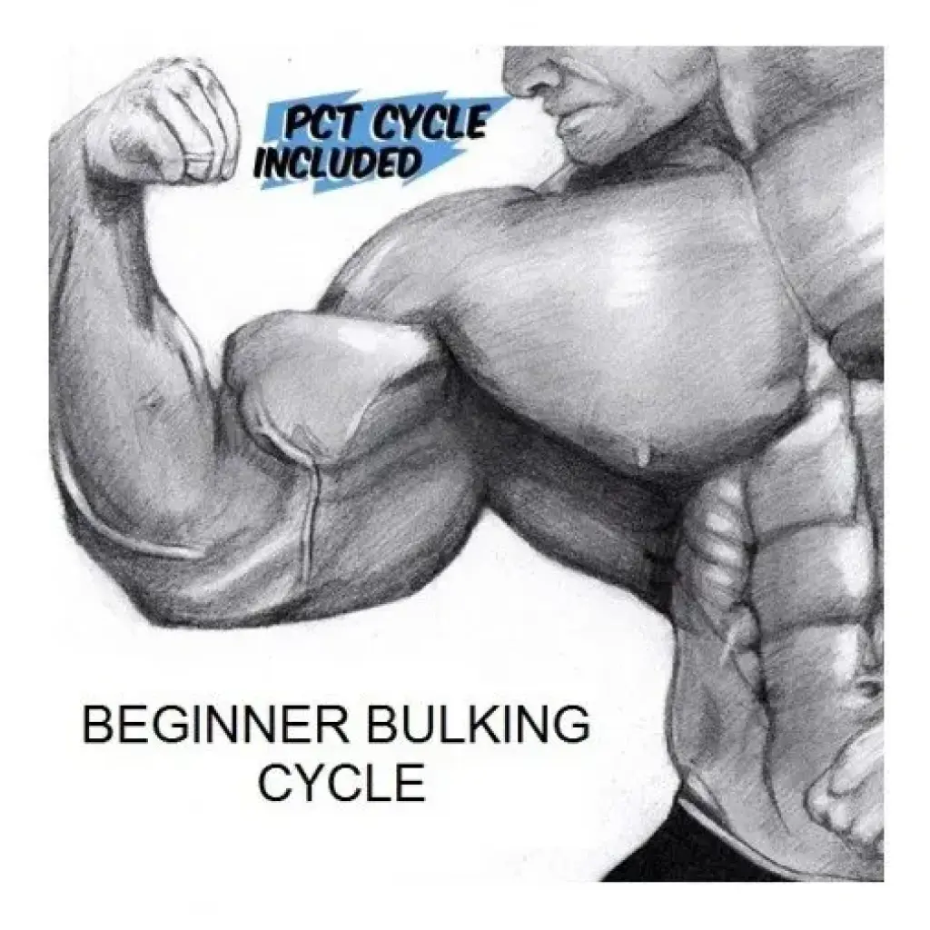 Beginner Bulking Cycle Beginner Bulking Cycle