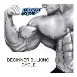 Beginner Bulking Cycle