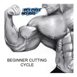Beginner Cutting Cycle