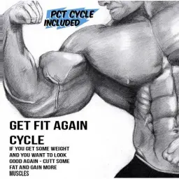 Get Fit Again Cycle