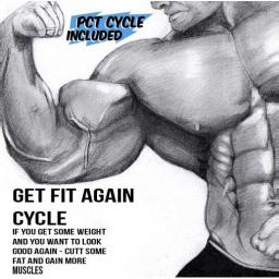 Get Fit Again Cycle