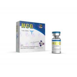 Order HCG 5000 IU Online
