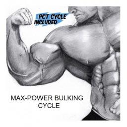 Order Max-Power Bulking Cycle Online