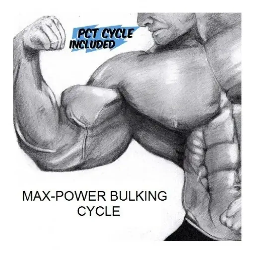 Max-Power Bulking Cycle