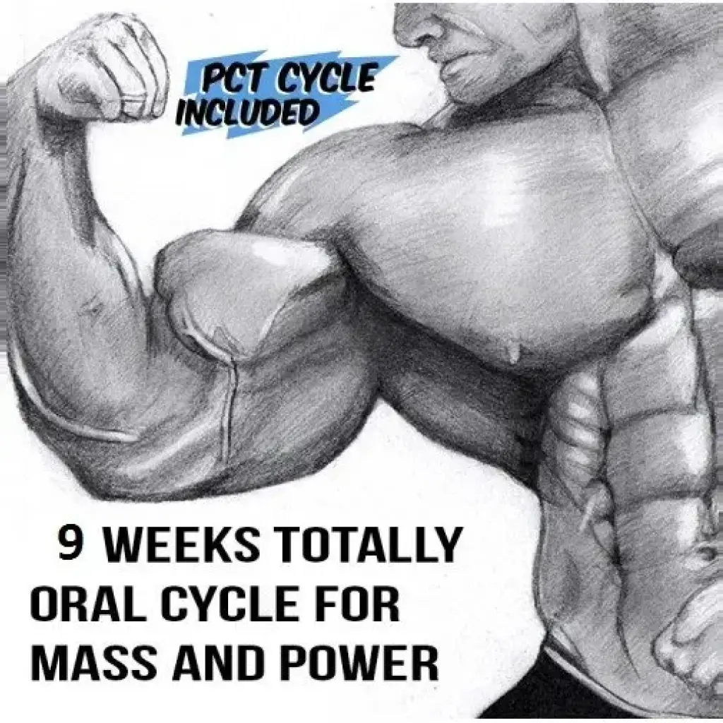 Oral Bulking Cycle Oral Bulking Cycle