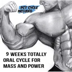 Oral Bulking Cycle
