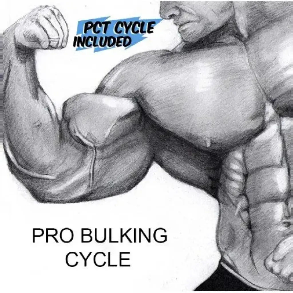 Pro Bulking Cycle Pro Bulking Cycle