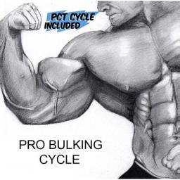 Pro Bulking Cycle