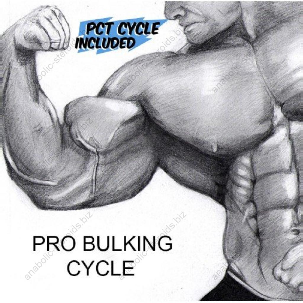 Order Pro Bulking Cycle Online