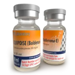 SP Equipoise