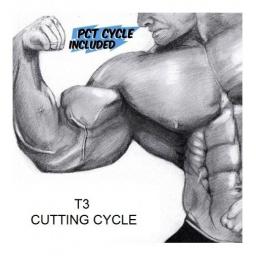 Order T3 Cutting Cycle Online