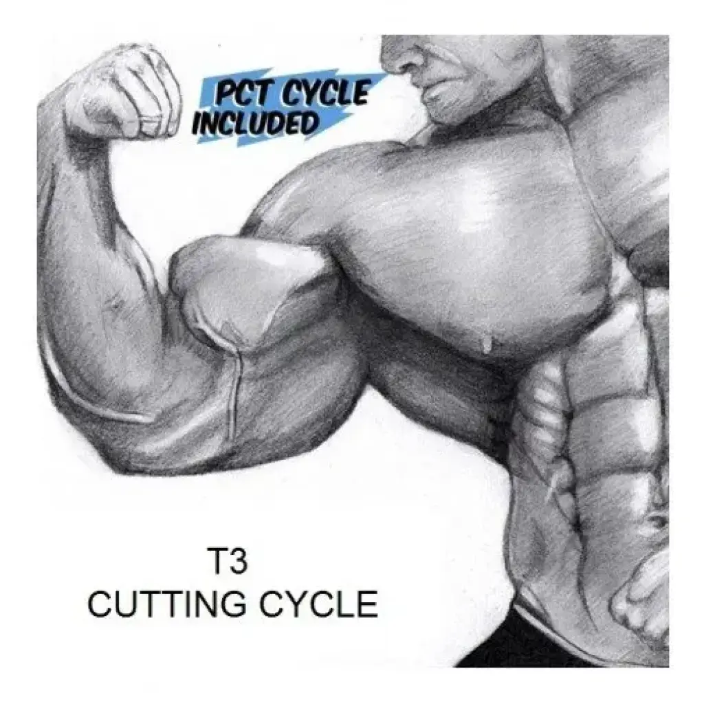 T3 Cutting Cycle T3 Cutting Cycle