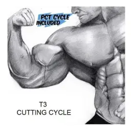T3 Cutting Cycle