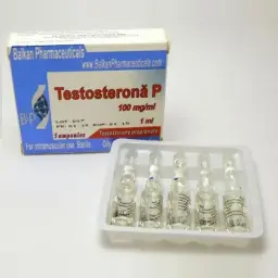 Testosterona P
