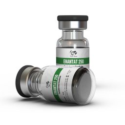 Dragon Pharma Enantat 250 Enantat 250
