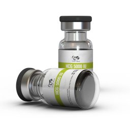 Singani Pharma Testo Enanthate 250 Testo Enanthate 250