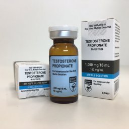 Gen-Shi Laboratories Testo-P 500 Testo-P 500